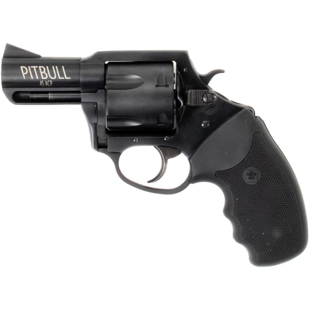 CHARTER ARMS PITBULL .45 acp